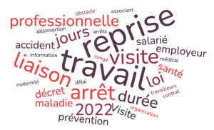 Decret Desinsertion Professionnelle