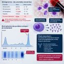 Infographie Médicale Pic Monoclonal